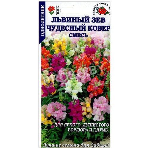 Львиный зев Чудесный ковер, смесь