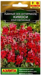 Львиный зев карликовый Кимоси алый