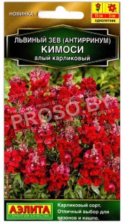Львиный зев карликовый Кимоси алый
