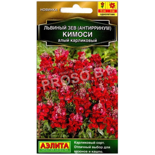 Львиный зев карликовый Кимоси алый