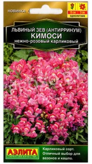 Львиный зев карликовый Кимоси нежно-розовый