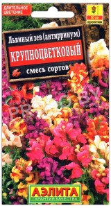 Львиный зев Крупноцветковый, смесь