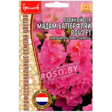 Львиный зев Мадам Баттерфляй роуз F1