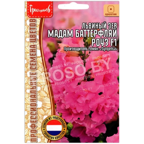 Львиный зев Мадам Баттерфляй роуз F1