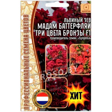 Львиный зев Мадам Баттерфляй три цвета бронзы F1
