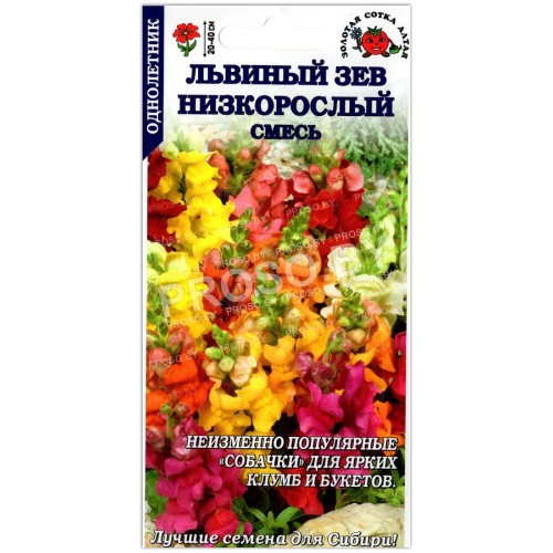 Львиный зев Низкорослый, смесь