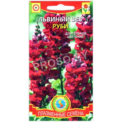 Львиный зев Руби