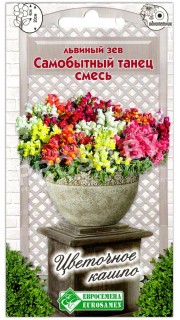 Львиный зев Самобытный танец, смесь