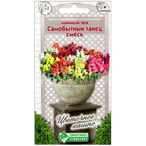 Львиный зев Самобытный танец, смесь