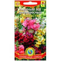 Львиный зев среднерослый Волшебство