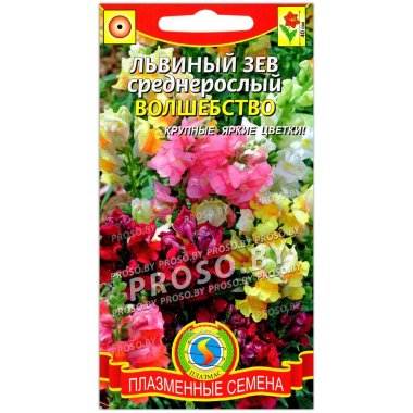 Львиный зев среднерослый Волшебство