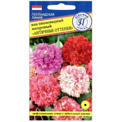 Мак пионовидный махровый Античные оттенки