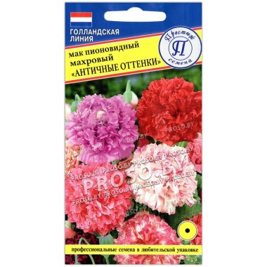 Мак пионовидный махровый Античные оттенки