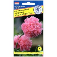 Мак пионовидный махровый Палевая роза