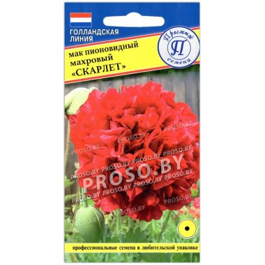 Мак пионовидный махровый Скарлет