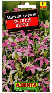 Маттиола двурогая Летний вечер