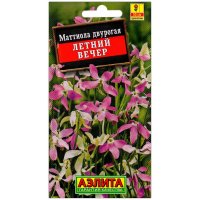 Маттиола двурогая Летний вечер