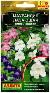 Маурандия (азарина) Лазающая, смесь