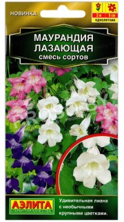 Маурандия (азарина) Лазающая, смесь