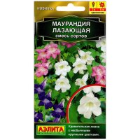 Маурандия (азарина) Лазающая, смесь