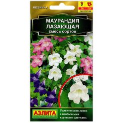 Маурандия (азарина) Лазающая, смесь