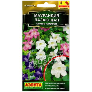 Маурандия (азарина) Лазающая, смесь