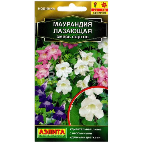 Маурандия (азарина) Лазающая, смесь