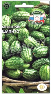 Мелотрия Шапито
