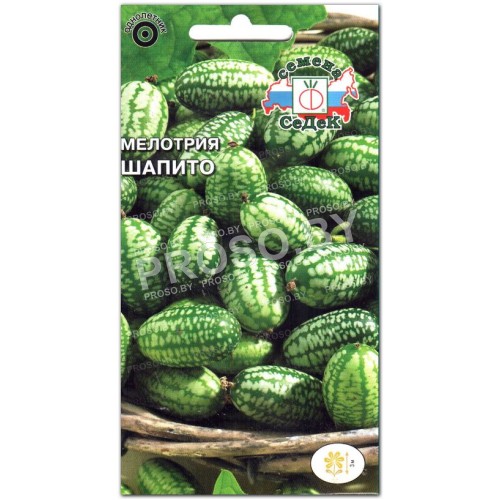 Мелотрия Шапито