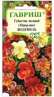 Мимулюс (губастик медный) Водевиль