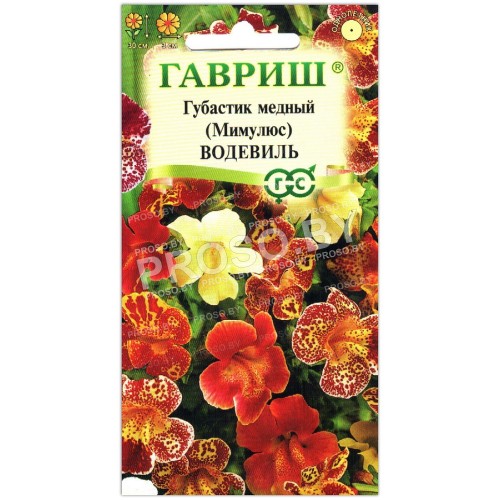 Мимулюс (губастик медный) Водевиль