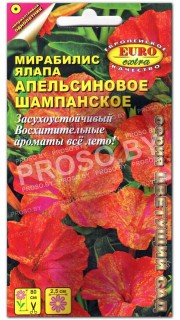 Мирабилис ялапа Апельсиновое шампанское