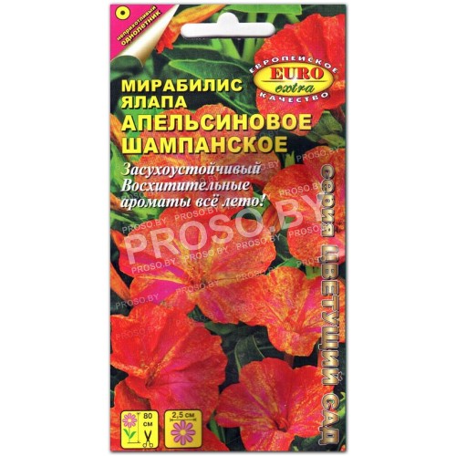 Мирабилис ялапа Апельсиновое шампанское