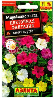 Мирабилис ялапа Цветочная фантазия, смесь