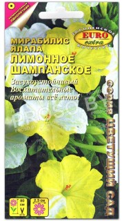 Мирабилис ялапа Лимонное шампанское