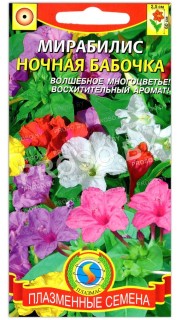 Мирабилис Ночная бабочка