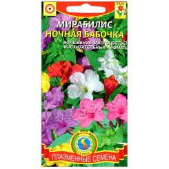 Мирабилис Ночная бабочка