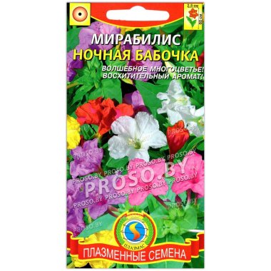 Мирабилис Ночная бабочка
