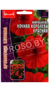 Мирабилис Ночная королева красная