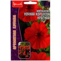 Мирабилис Ночная королева красная
