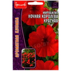 Мирабилис Ночная королева красная