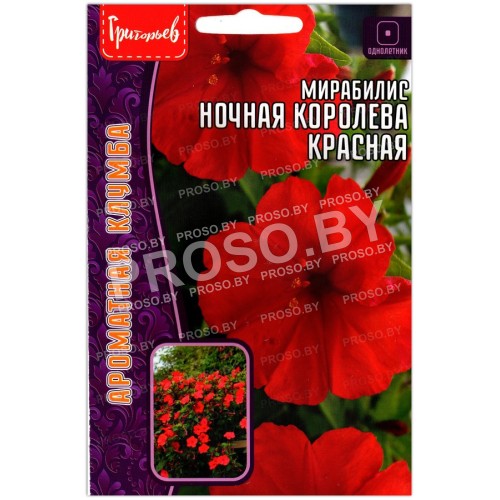 Мирабилис Ночная королева красная