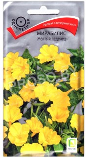 Мирабилис Желтый леденец