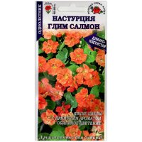 Настурция Глим салмон