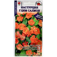 Настурция Глим салмон