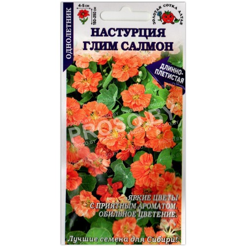 Настурция Глим салмон