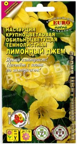 Настурция крупноцветковая Лимонный джем