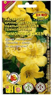 Настурция крупноцветковая Лимонный джем