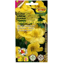 Настурция крупноцветковая Лимонный джем