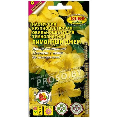 Настурция крупноцветковая Лимонный джем